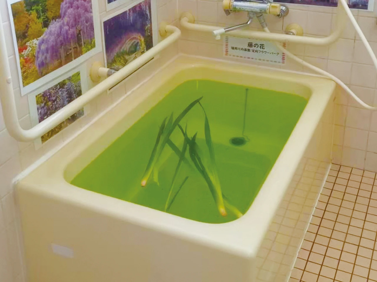 らいおんハートリハビリデイサービス光が丘の写真2